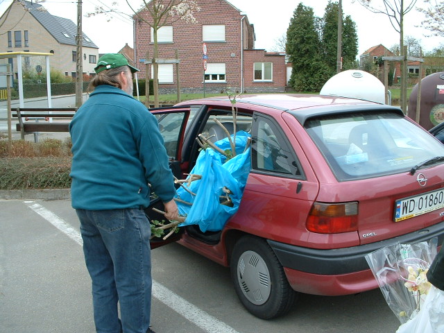 Belgijska malwa w prezencie dla Gosi